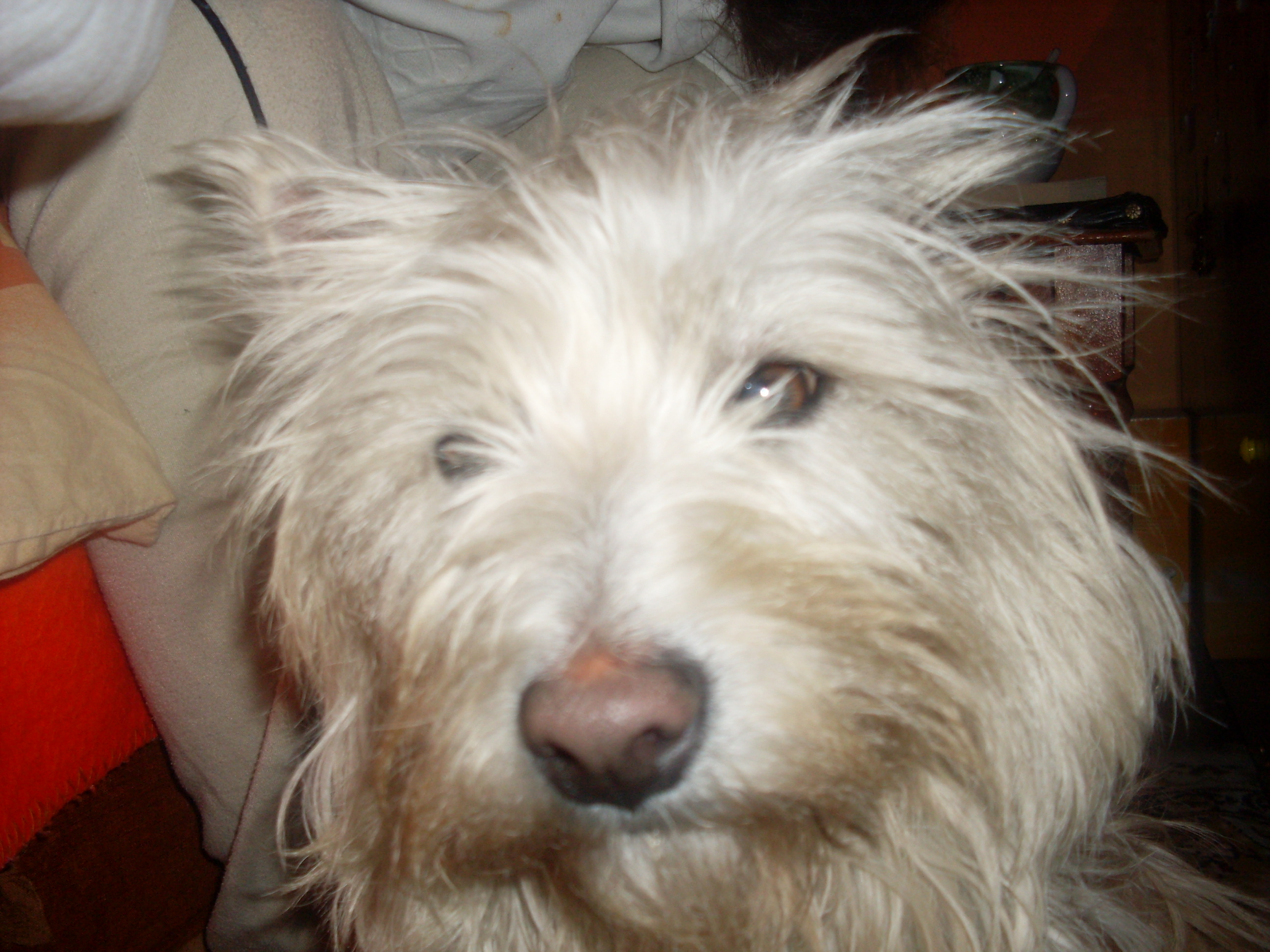 Snímek 020.jpg